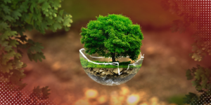 ISO 14001:2015 vs ISO 14001:2026